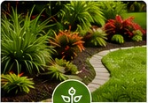 Tropical landscaping