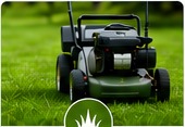 Lawn mower on green grass
